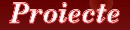 Proiecte